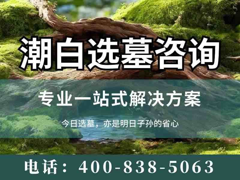 潮白河畔芦苇荡秋韵：归山陵园自然与生命和谐交融的探秘