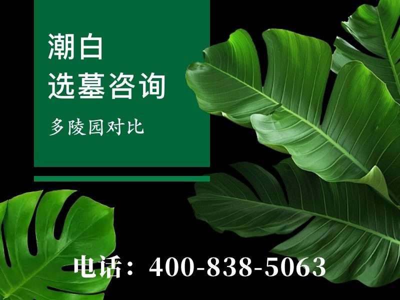 潮白陵园平地大尺寸墓碑梯度报价 采光优势特价名额有限：限时福利活动详解